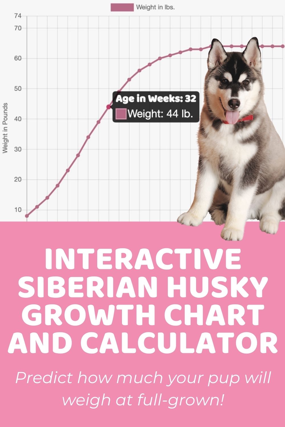 pet weight calculator