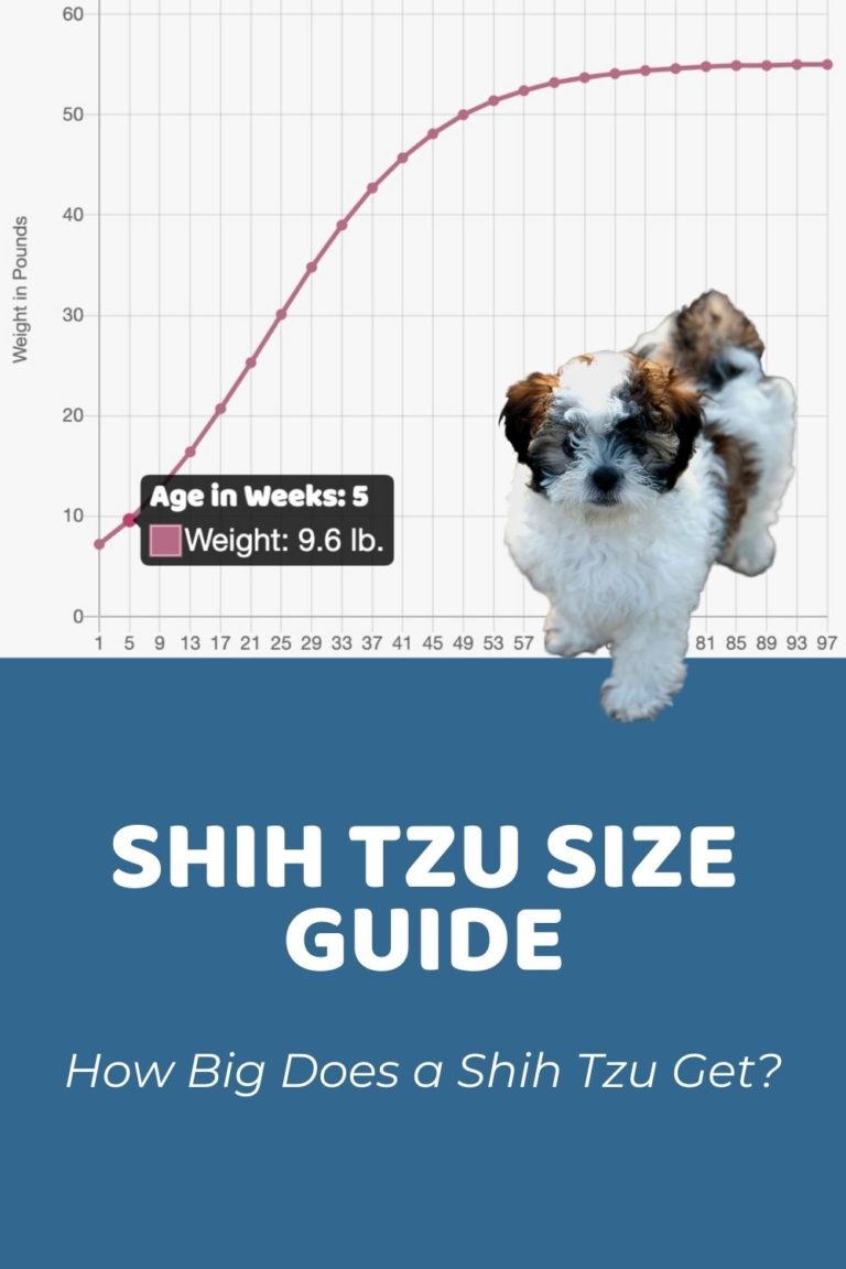 Interactive Shih Tzu Growth Chart and Calculator Puppy Weight Calculator