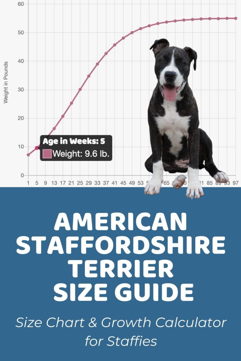 Stafford Big And Size Chart