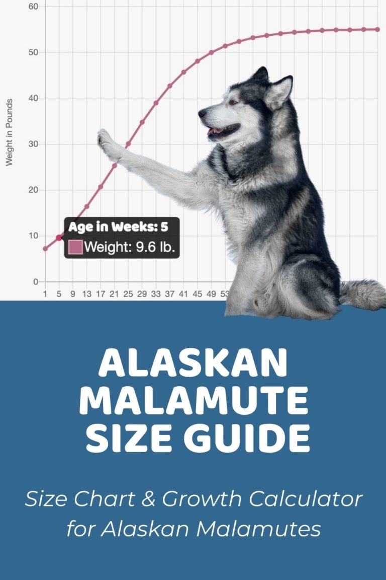 alaskan-malamute-archives-puppy-weight-calculator