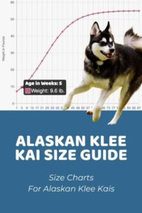 Alaskan Klee Kai Size Chart: How Big Does An Alaskan Klee Kai Get?